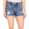 She She Boutique Articles Of Society Meredith Jean Shorts - Morro Bay
