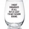 She She Boutique Wine Glass - I Might Embarrass Us All GIFTS