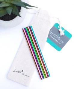 She She Boutique GIFTS Cocktail Straw Set - Rainbow