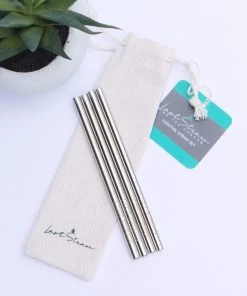 She She Boutique Cocktail Straw Set - Silver
