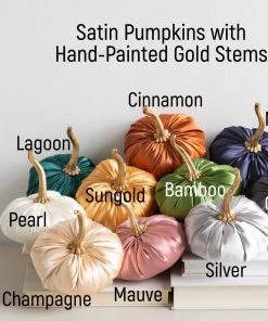 She She Boutique Small Satin Pumpkin - Pearl, Champagne, Cinnamon, Silver OR Sungold GIFTS