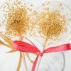 She She Boutique Gold Sparkle Lollipop - Black Cherry Flavor