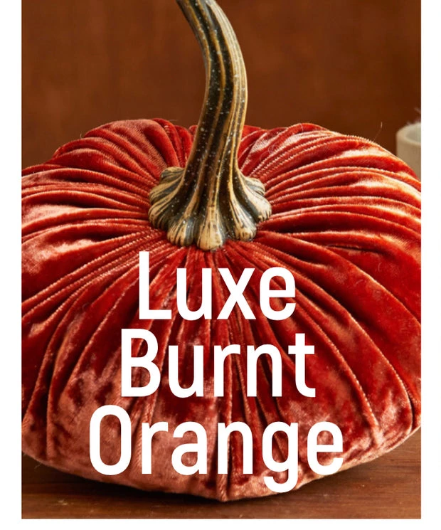 She She Boutique Large Velvet Pumpkins - Gold, Ivory, Brass, Orange, Sand, Olive OR Rust 11 She She Boutique Large Velvet Pumpkins - Gold, Ivory, Brass, Orange, Sand, Olive OR Rust