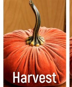 She She Boutique Extra Large Velvet Pumpkin - Gold, Harvest OR Ivory